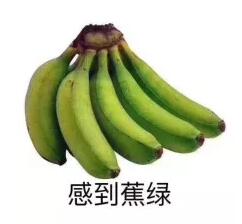 【美國報稅】千萬不要在美國逃稅,美國稅務局有多可怕5.jpg 【美國報稅】千萬不要在美國逃稅,美國稅務局有多可怕5.jpg