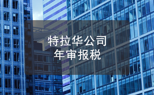 美國(guó)特拉華公司年審報(bào)稅詳解