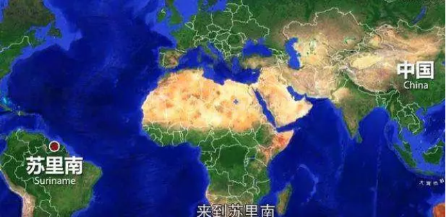 蘇里南對中國免簽,蘇里南海關規定解讀3