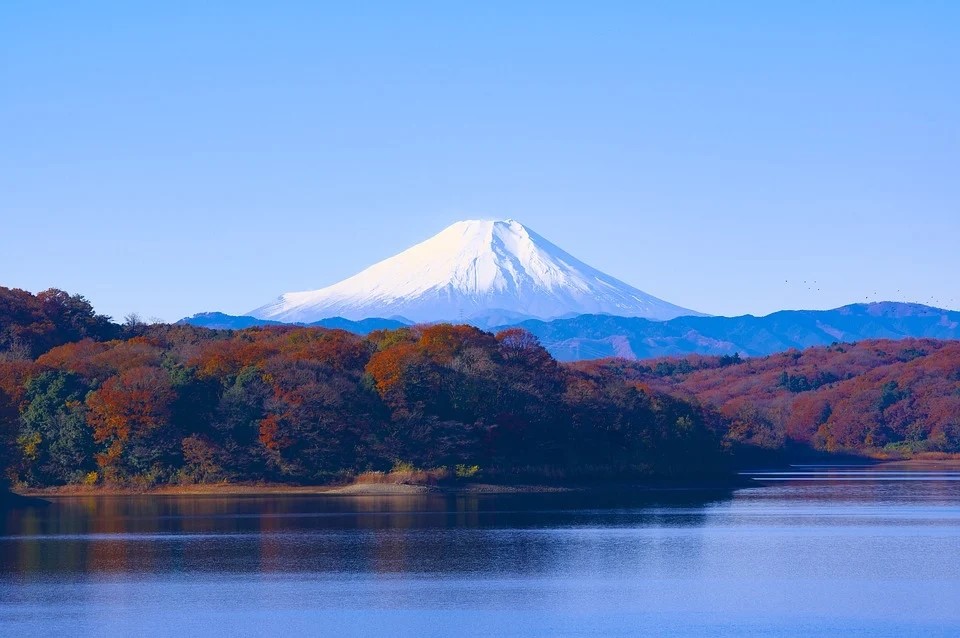 日本商標(biāo)注冊